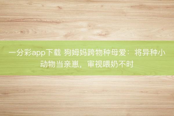 一分彩app下載 狗姆媽跨物種母愛：將異種小動物當親崽，審視喂奶不時